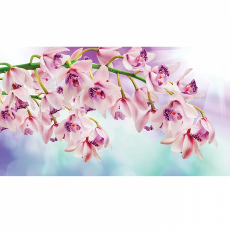 Ταπετσαρία με Τοπίο Pink Orchids